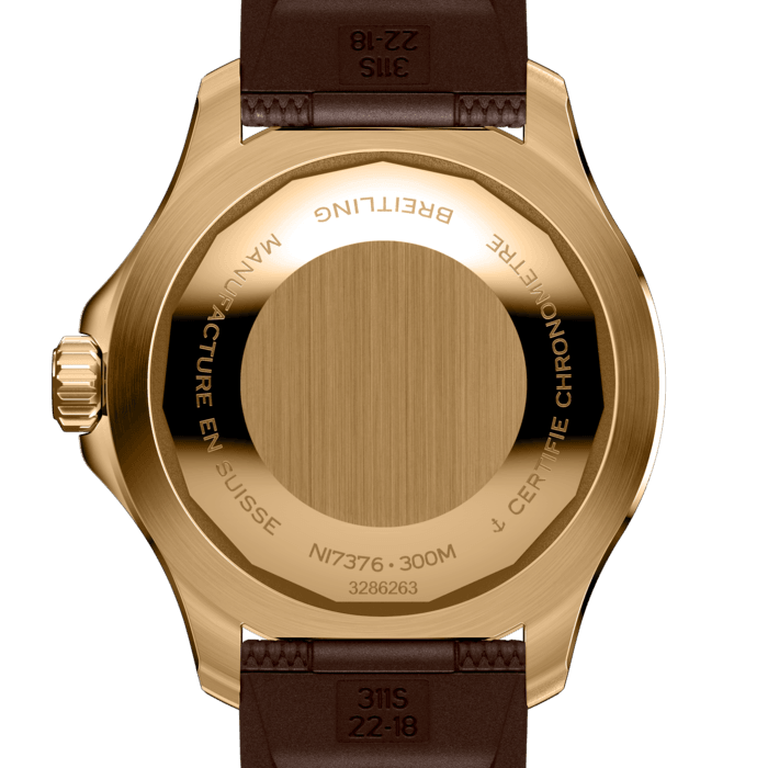 n17376201q1s1-superocean-automatic-44-back.png