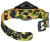 buckle.jpg