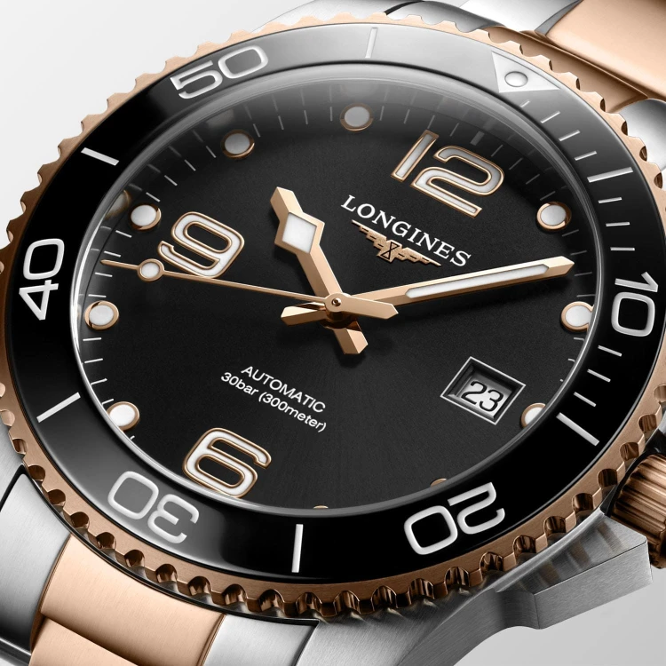 Longines Hydroconquest L37813587.jpg