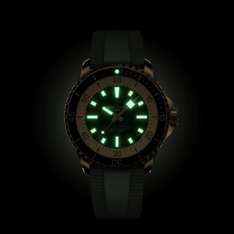 n17375201l1s1e.png