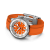 a17377211o1s1b.png