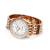 r17327211a1r1-navitimer-automatic-36-rolled-up-3.png