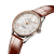 54-3-u77320e61a1p1.png