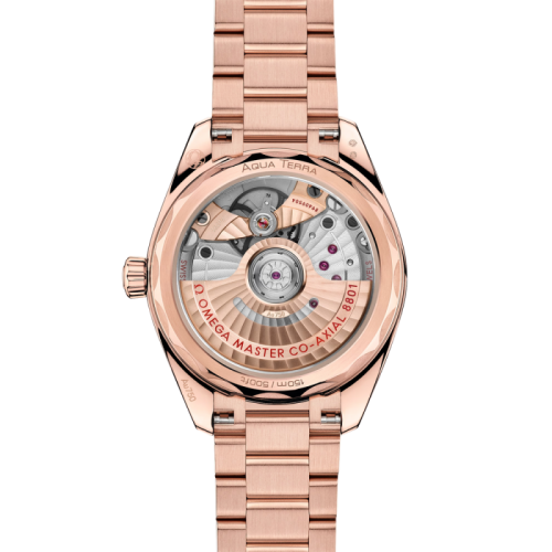 seamaster-aqua-terra-shades-34-mm (1).jpg