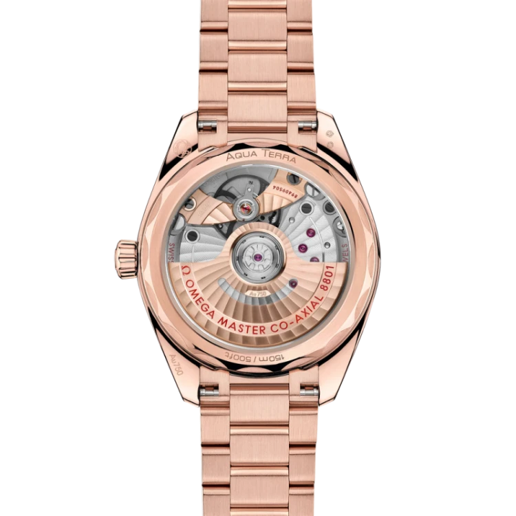 seamaster-aqua-terra-shades-34-mm (1).jpg