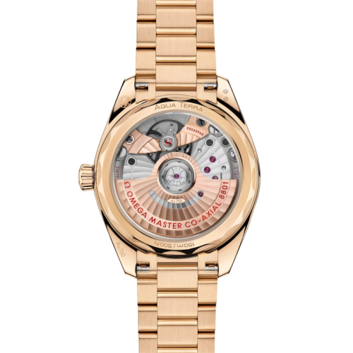seamaster-aqua-terra-shades-34-mm (3).jpg