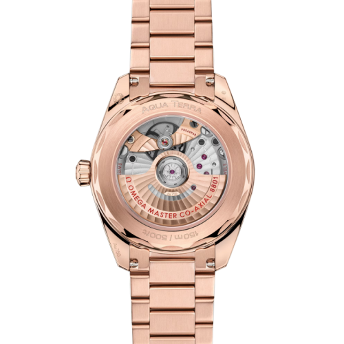 seamaster-aqua-terra-shades-38-mm (1).jpg