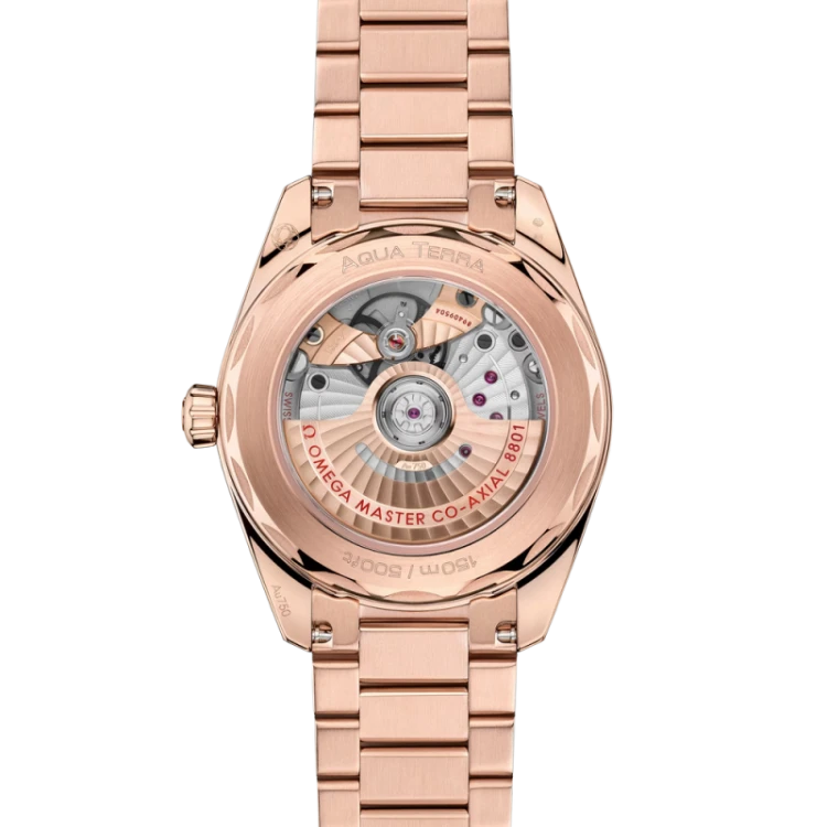 seamaster-aqua-terra-shades-38-mm (1).jpg