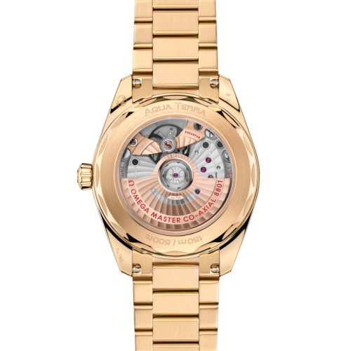 seamaster-aqua-terra-shades-38-mm (3).jpg