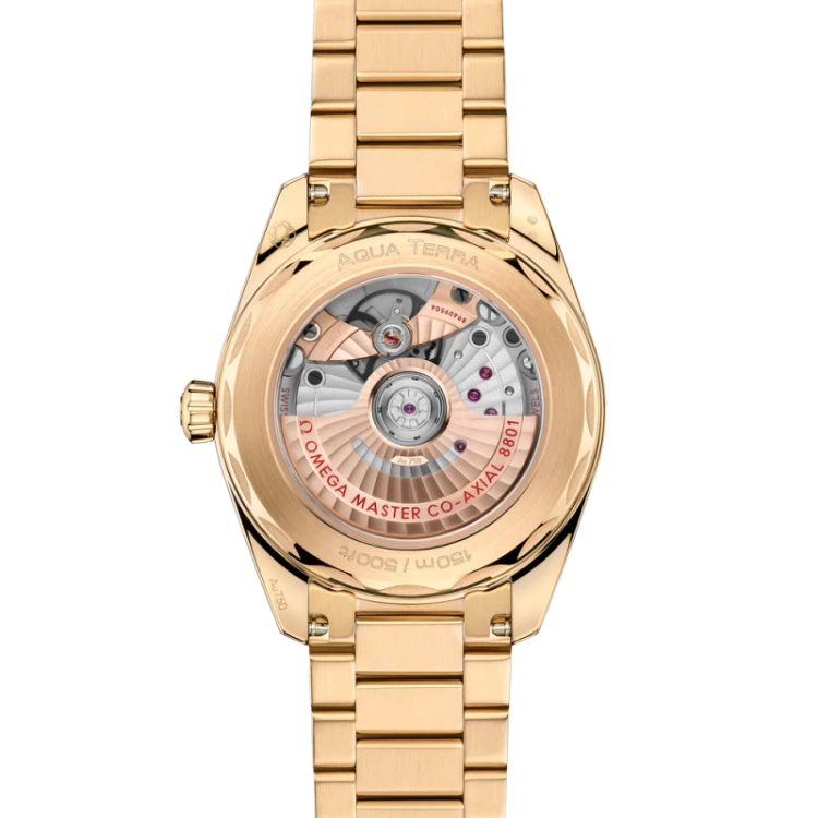 seamaster-aqua-terra-shades-38-mm (3).jpg