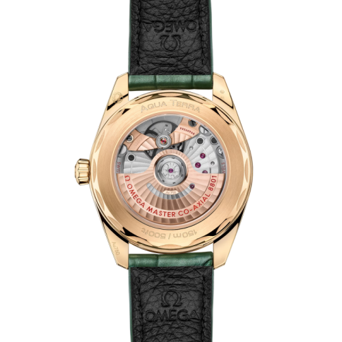 seamaster-aqua-terra-shades-38-mm (1).jpg