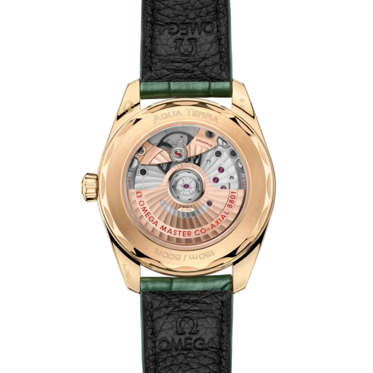 seamaster-aqua-terra-shades-38-mm (1).jpg