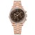 omega-speedmaster-moonwatch-professional-oro-sedna-42-mm.jpg