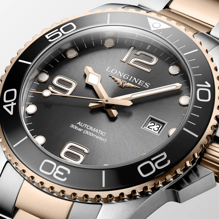 Longines Hydroconquest L37823787.jpg