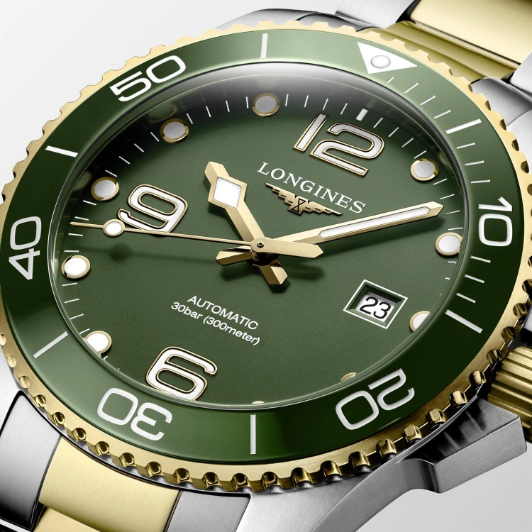 Longines Hydroconquest L37823067.jpg