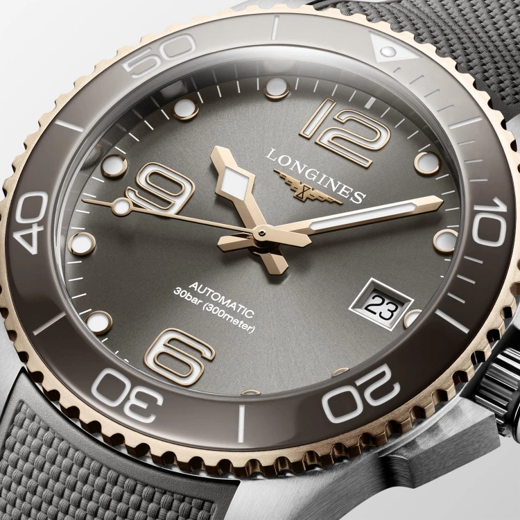 Longines Hydroconquest L37803789.jpg