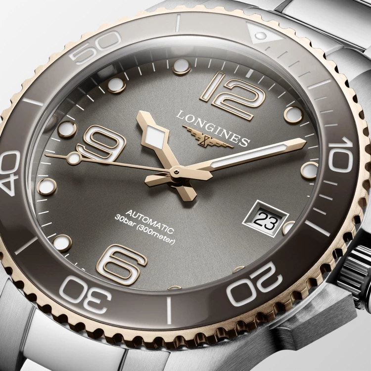 Longines Hydroconquest L37803786.jpg