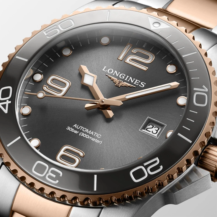 Longines Hydroconquest L37813787.jpg