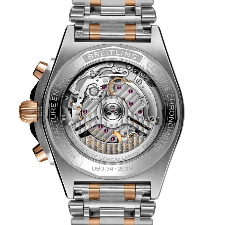 ub0134131l1u1-back_9c69e1da_thumbnail_1024.webp