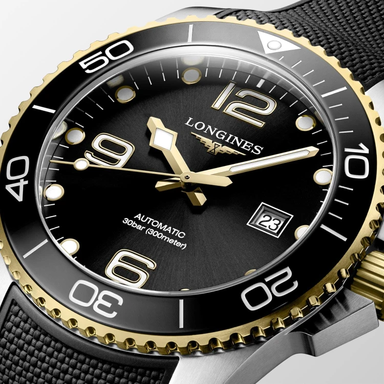 Longines Hydroconquest L37823569.jpg