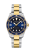 DS Action C048.410.22.041.00.png