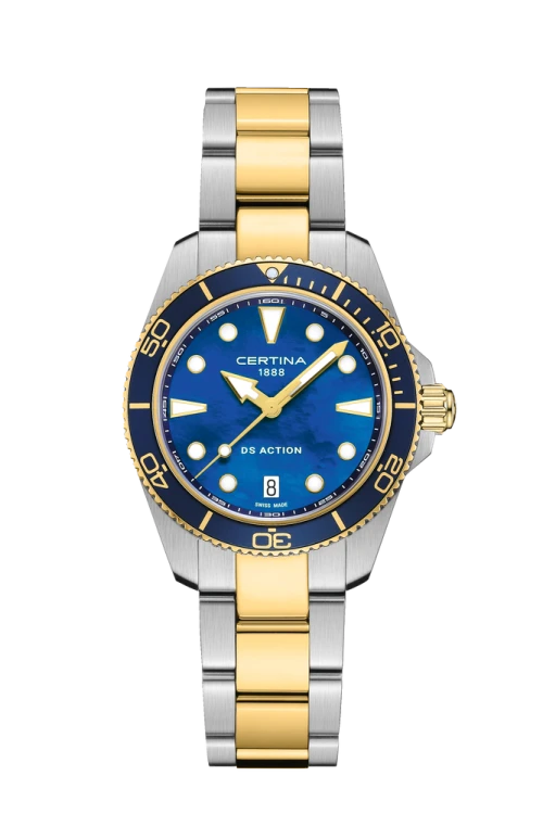 DS Action C048.210.22.131.00.png