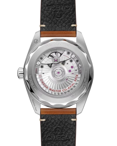 omega-seamaster-railmaster-co-axial-master-chronometer-small-seconds-38-mm-23512382013001-portrait-1-470558 (1).webp