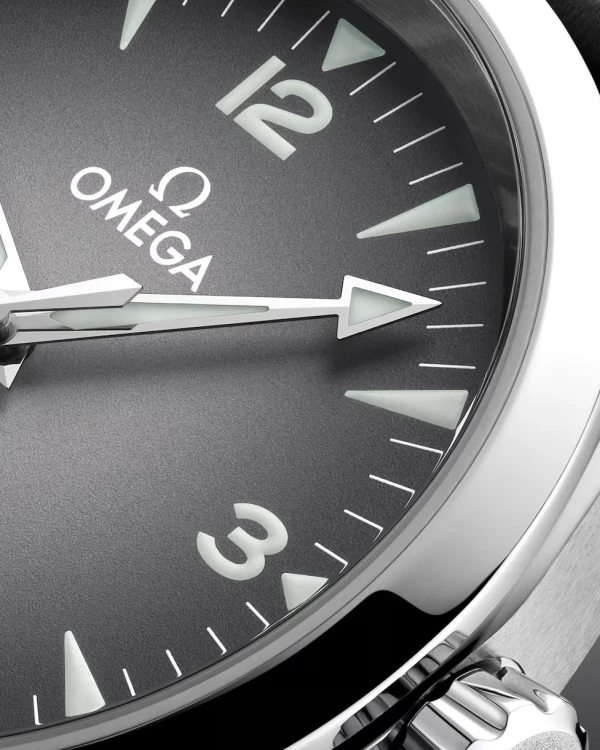omega-seamaster-railmaster-co-axial-master-chronometer-38-mm-23512382006001-portrait-2-be374a.webp