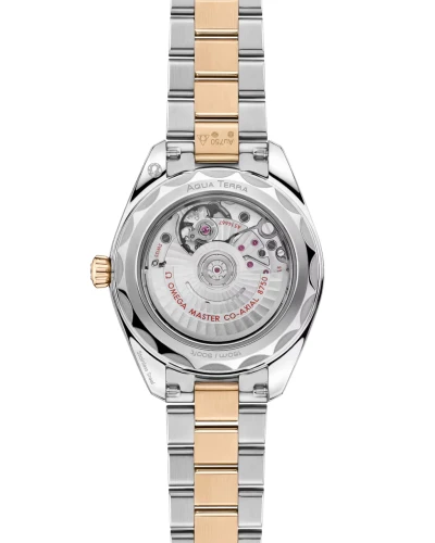 omega-seamaster-aqua-terra-150m-co-axial-master-chronometer-30-mm-22020302002001-portrait-1-6c47ca.webp