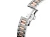 WDA2111.BD0001_02.webp