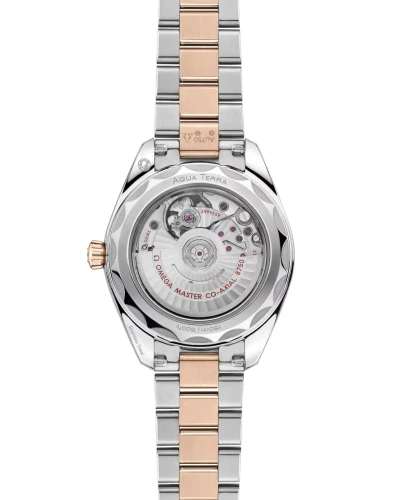 omega-seamaster-aqua-terra-150m-co-axial-master-chronometer-30-mm-22020302010002-portrait-1-c9e1e5.webp