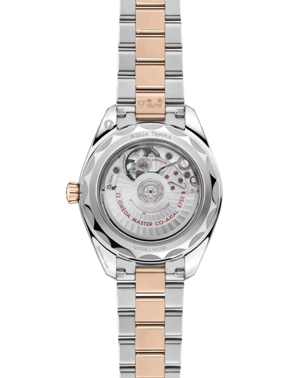 omega-seamaster-aqua-terra-150m-co-axial-master-chronometer-30-mm-22020302010002-portrait-1-c9e1e5.webp