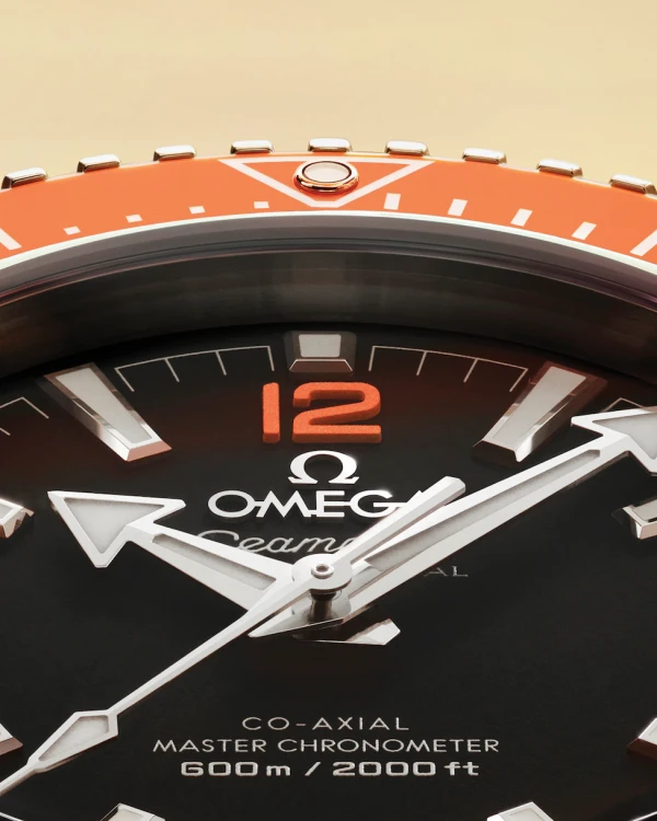 omega-seamaster-planet-ocean-600m-co-axial-master-chronometer-42-mm-21730422101003-portrait-6-100986.webp