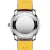 a10310121q1p1-back_a59d7502_thumbnail_1024.webp