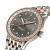 U173271A1B1U1_3.webp