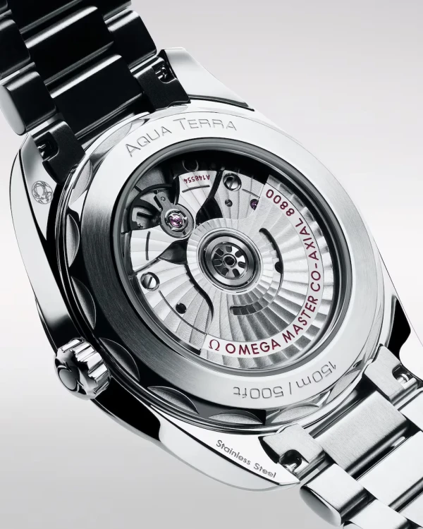 omega-seamaster-aqua-terra-150m-co-axial-master-chronometer-38-mm-22010382001004-portrait-2-13d8bb.webp