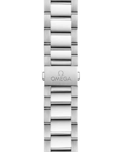 omega-seamaster-aqua-terra-150m-co-axial-master-chronometer-41-mm-22010412103001-portrait-1-8c266b.webp