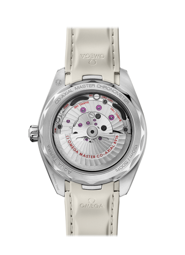 omega-seamaster-aqua-terra-150m-co-axial-master-chronometer-small-seconds-41-mm-22012412102005-2-product.png