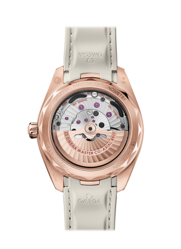 omega-seamaster-aqua-terra-150m-co-axial-master-chronometer-small-seconds-41-mm-22052412102001-2-product.png