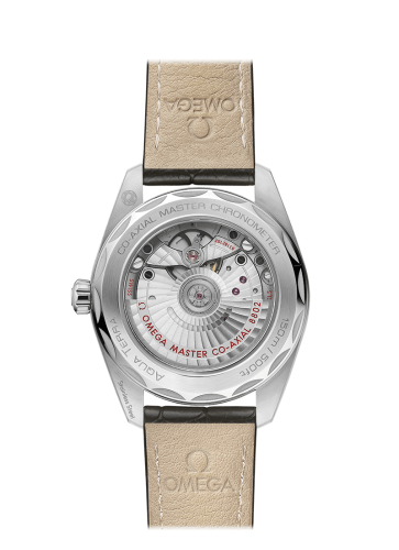 omega-seamaster-aqua-terra-150m-co-axial-master-chronometer-small-seconds-38-mm-22013382060001-2-product.png