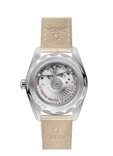 omega-seamaster-aqua-terra-150m-co-axial-master-chronometer-small-seconds-38-mm-22013382009001-2-product.png