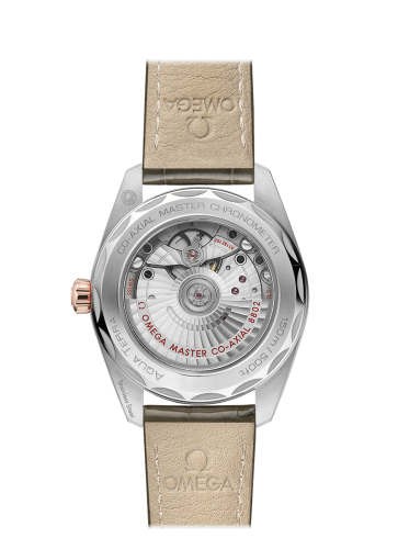 omega-seamaster-aqua-terra-150m-co-axial-master-chronometer-small-seconds-38-mm-22023382060001-2-product.png