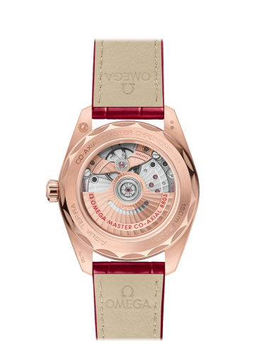 omega-seamaster-aqua-terra-150m-co-axial-master-chronometer-small-seconds-38-mm-22058382055002-2-product.png